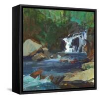 Melody of the Falls-Angela Saxon-Framed Stretched Canvas