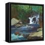 Melody of the Falls-Angela Saxon-Framed Stretched Canvas