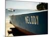 Melody-John Gusky-Mounted Photographic Print