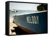 Melody-John Gusky-Framed Stretched Canvas