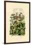 Melon, 1833-39-null-Framed Giclee Print