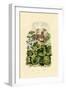 Melon, 1833-39-null-Framed Giclee Print