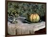 Melon and Fruit Bowl with Figs, 1880-82-Gustave Caillebotte-Framed Giclee Print