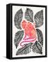 Melon Black Monkeys-Cat Coquillette-Framed Stretched Canvas
