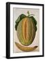 Melon, C.1568-Jacques Le Moyne-Framed Giclee Print