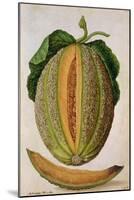 Melon, C.1568-Jacques Le Moyne-Mounted Giclee Print