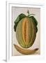 Melon, C.1568-Jacques Le Moyne-Framed Giclee Print