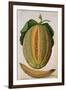 Melon, C.1568-Jacques Le Moyne-Framed Giclee Print