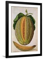 Melon, C.1568-Jacques Le Moyne-Framed Giclee Print