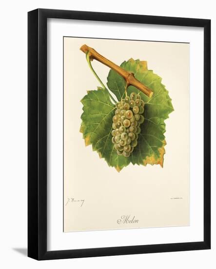 Melon Grape-J. Troncy-Framed Giclee Print