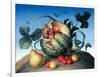 Melon on a Mountain-Amelia Kleiser-Framed Giclee Print