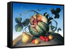 Melon on a Mountain-Amelia Kleiser-Framed Stretched Canvas