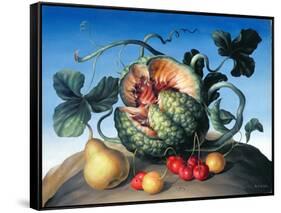 Melon on a Mountain-Amelia Kleiser-Framed Stretched Canvas