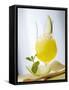 "Melon Stick" (Melon Drink)-Klaus Arras-Framed Stretched Canvas