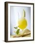 "Melon Stick" (Melon Drink)-Klaus Arras-Framed Premium Photographic Print