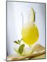 "Melon Stick" (Melon Drink)-Klaus Arras-Mounted Photographic Print