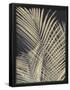 Essential Black