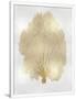 Gramercy White
