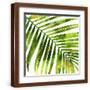 Brown Frame