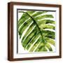 Brown Frame