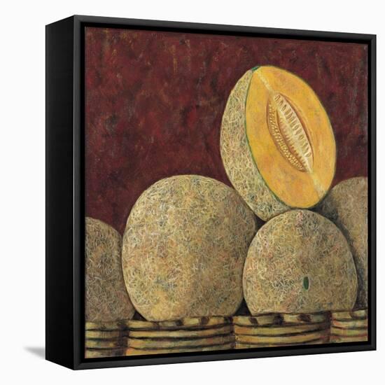 Melons, 1999-Pedro Diego Alvarado-Framed Stretched Canvas