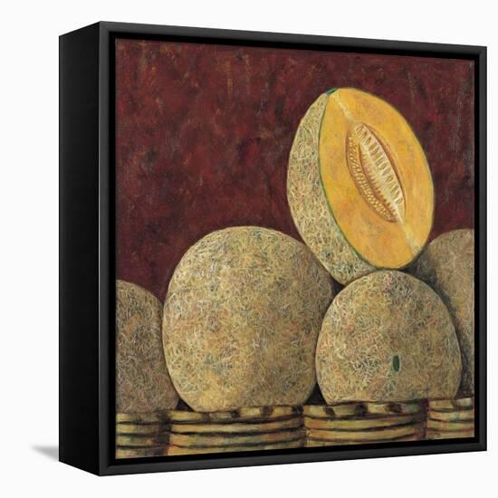 Melons, 1999-Pedro Diego Alvarado-Framed Stretched Canvas