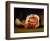 Melons and Morning Glories, 1813-Raphaelle Peale-Framed Giclee Print