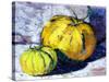 Melons in the Sun, 1982-Diana Schofield-Stretched Canvas