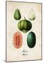 Melons-null-Mounted Poster