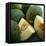 Melons-David Munns-Framed Stretched Canvas