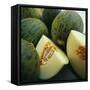 Melons-David Munns-Framed Stretched Canvas