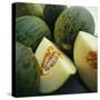 Melons-David Munns-Stretched Canvas
