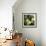 Melons-David Munns-Framed Premium Photographic Print displayed on a wall