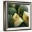 Melons-David Munns-Framed Premium Photographic Print