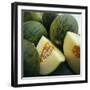 Melons-David Munns-Framed Premium Photographic Print