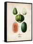 Melons-null-Framed Stretched Canvas