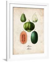 Melons-null-Framed Art Print