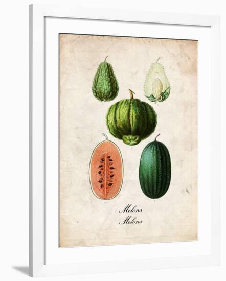 Melons-null-Framed Art Print