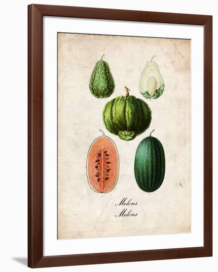 Melons-null-Framed Art Print