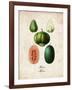 Melons-null-Framed Art Print