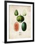 Melons-null-Framed Art Print