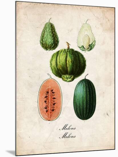 Melons-null-Mounted Art Print