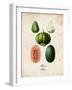 Melons-null-Framed Art Print