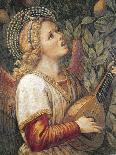 An Angel Playing the Lute, 15th Century-Melozzo Da Forli-Giclee Print