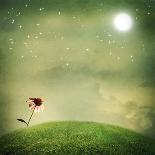 Fantasy Night with A Small Snail and Butterflies-Melpomene-Photographic Print