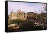 Melrose Abbey, Borders, Scotland, United Kingdom-Charles Bowman-Framed Stretched Canvas