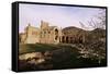 Melrose Abbey, Borders, Scotland, United Kingdom-Charles Bowman-Framed Stretched Canvas