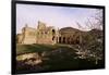 Melrose Abbey, Borders, Scotland, United Kingdom-Charles Bowman-Framed Photographic Print