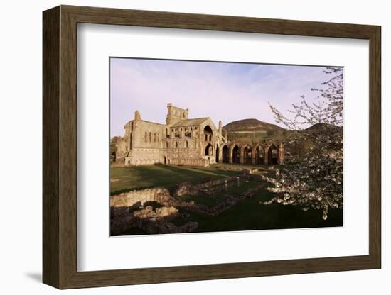 Melrose Abbey, Borders, Scotland, United Kingdom-Charles Bowman-Framed Photographic Print