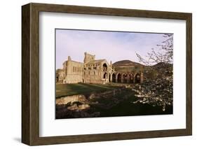 Melrose Abbey, Borders, Scotland, United Kingdom-Charles Bowman-Framed Photographic Print